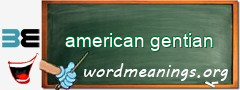 WordMeaning blackboard for american gentian